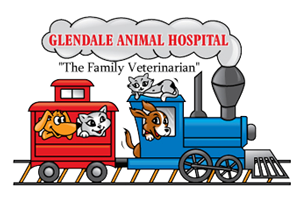 Glendale Animal Hospital Your | Veterinarian in Glendale, AZ Glendale Animal  Hospital - Veterinarian in Glendale, AZ USA
