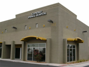 About Glendale Animal Hospital | Veterinarian in Glendale, AZ Glendale  Animal Hospital - Veterinarian in Glendale, AZ USA